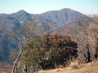 鍋割山から見る檜洞丸と同角の頭