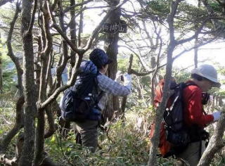 深いヤブを漕いで、駒掛山を通過