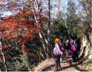 この日一番見ごたえのあった紅葉