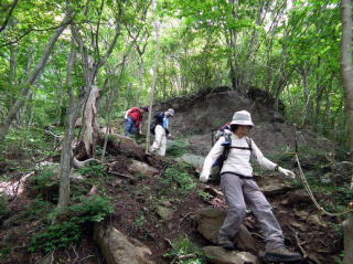 矢平山から西に行くとこの山稜には珍しい岩道がある