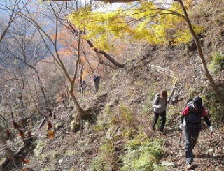 小菅沢に沿って今は廃道となった路を行く