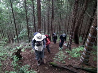 急登が終わり、雨降山分岐近く