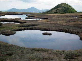 苗場山の広大な湿原