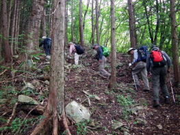 植林の急登　２時間強の急登が続く　景色も見えず楽しみのない尾根道