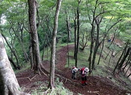 天王寺尾根に上がっても蛭はいたとのことだったが・・・