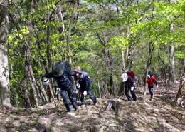 倉岳山北東尾根の数箇所をアップダウンしてまさに新緑真っ盛りのなかをゆっくりと