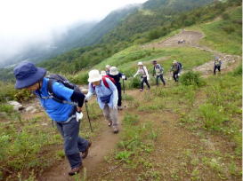 山頂まで最後の登り　足取りが軽快です