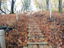 登山道には落ち葉の絨毯