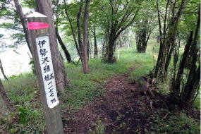 檜岳山稜では最高峰の伊勢ノ頭