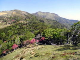 手前の山がカヤハゲ（東熊山）、その右が目指す三嶺