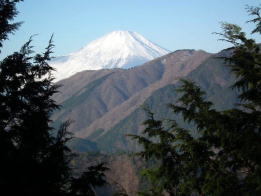 見晴付近からの富士山と鍋割山