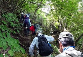 優しい踏み跡をジグザグに登ります