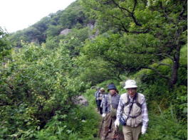 梅林を通って山頂に向かう　新緑が美しい