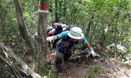 樹林の木陰はあるものの雛鶴峠から２回のアップダウンはこの暑さでは非常に堪える