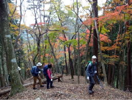 支尾根に乗った場所は紅葉真っ盛りだったが、よもぎ平、紅葉の盛りは過ぎていた