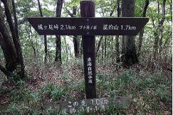 東海自然歩道だけあり道標は豊富にある　菰釣山分岐の道標