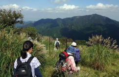 三ノ塔山頂から北側へ　鹿棚を数ヶ所通過して