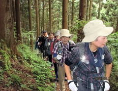 涼しいながらも汗だくで登ります