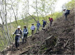 地域の方々の努力でとても歩きやすい登山道でした