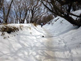 綺麗な雪道　アイゼンの爪を効かせてざくざくと登るのは楽しい