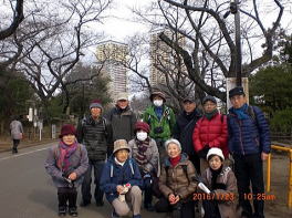 谷中霊園桜通り