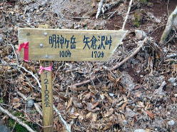 途中、林道にぶつかり、そこから本格的な登山道になります