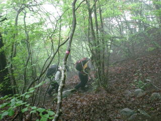 滝子山の山頂まで急登の連続