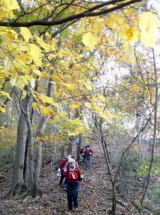 紅葉を堪能し下山